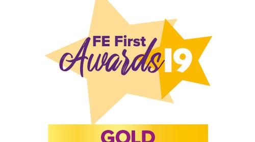 FE First Awards 2019 Gold Winner