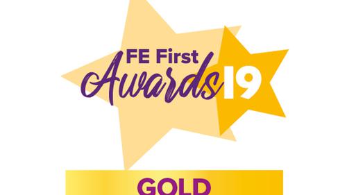 FE First Awards 2019 Gold Winner